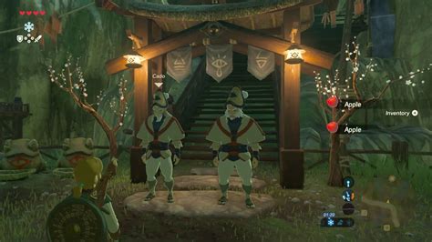 zelda breath of the wild kakariko village|botw ball in impa's house.